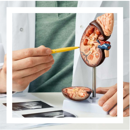 Daivik Urology Center and Hospital - Best Urology Hospital in Varanasi